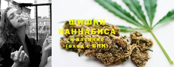 ALPHA-PVP Каменка