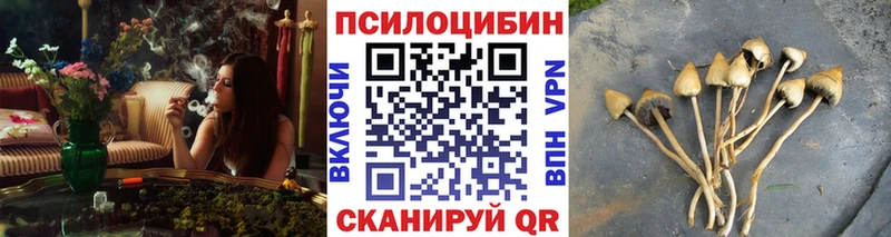 Галлюциногенные грибы Psilocybine cubensis  что такое   Северо-Курильск 